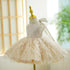 Silver Shine Dresses Little Palace Store
